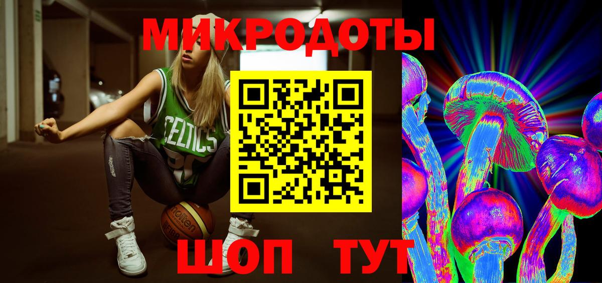 Галлюциногенные грибы Psilocybine cubensis Дедовск
