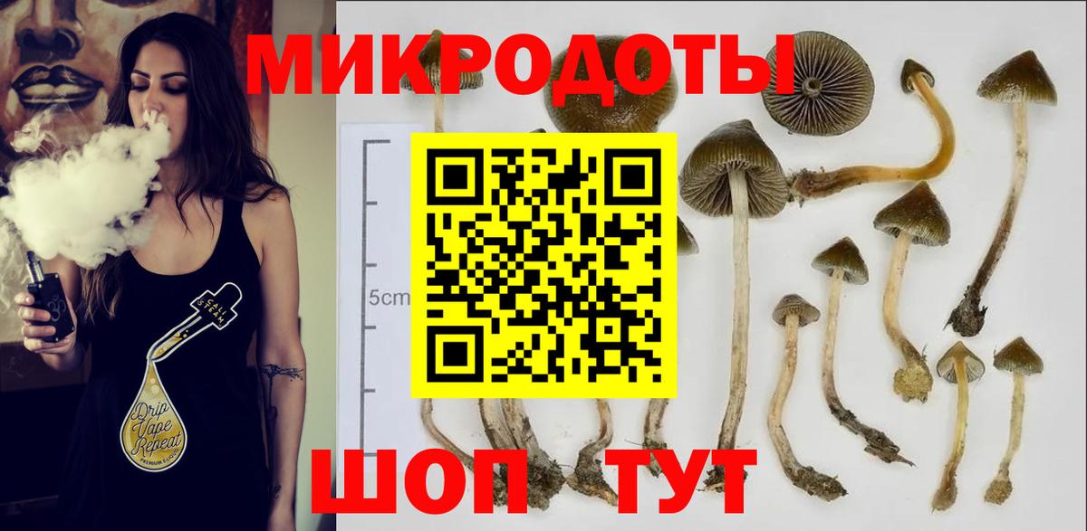 Дедовск  Псилоцибиновые грибы Psilocybine cubensis  Вход с VPN 